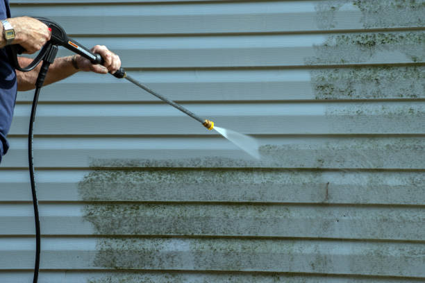 Boat and Dock Cleaning in Wenona, IL